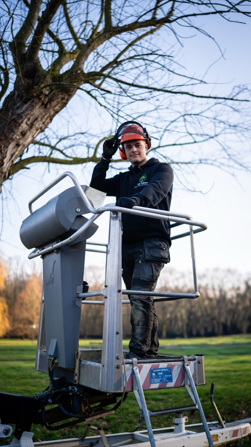Top Tuinen medewerker op hoogwerker bij boomverzorging
